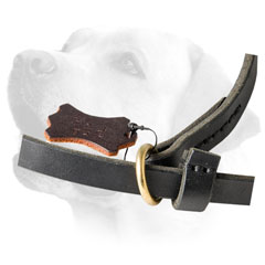 Floating Ring On Leather Dog Leash For Labrador  