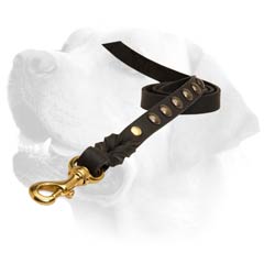 Strong Leather Everyday Labrador Dog Lead