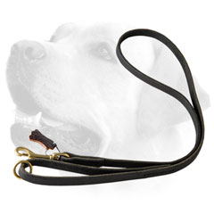 Walking Leather Labrador Leash