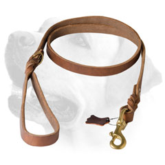Stitched Leather Dog Leash For Labrador 