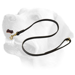 Leather Dog Leash With Brass HardwareFor Labrador 