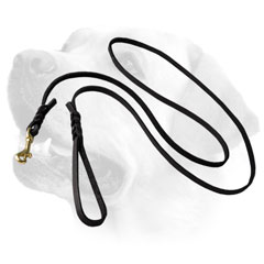 Braided Leather Dog Leash For Labrador 