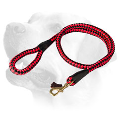 Tracking Nylon Dog Leash Labrador