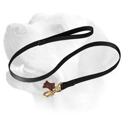 Tracking Nylon Dog Leash Labrador