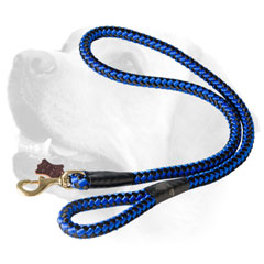Nylon Dog Leash With Brass Snap Hook For Labrador 