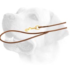 Strong Leather Everyday Labrador Dog Lead