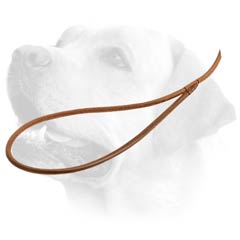 Labrador Round Leather Dog Lead