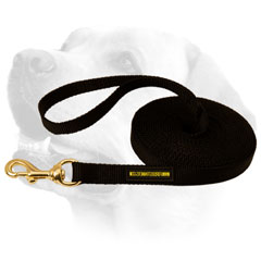 Labrador Multi Weather Nylon Lead For Tracking
