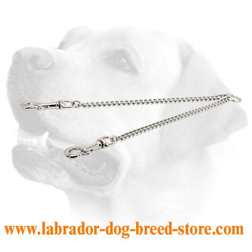 Chain coupler Labrador leash for 2 dogs handling