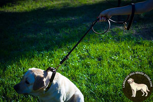 Labrador leather leash of high quality with handle for walking