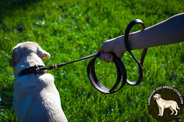 Labrador leather leash with non-corrosive hardware for daily activity