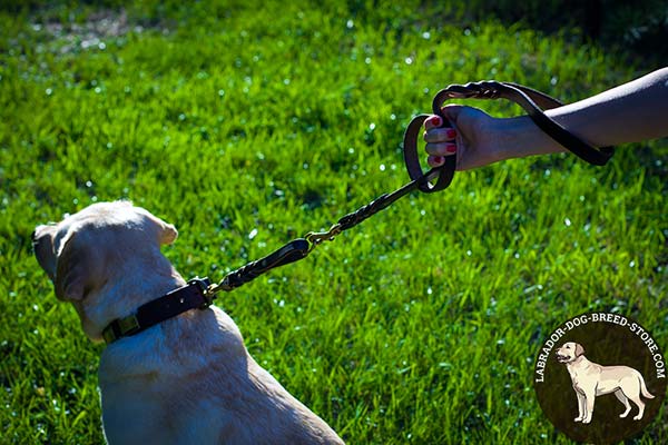 Labrador leather leash with durable brass plated hardware for walking