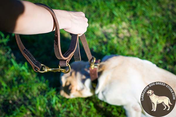 Labrador leather leash with strong hardware for daily activity