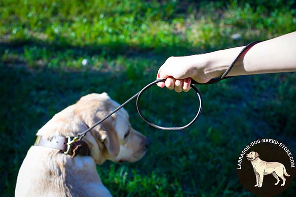 Labrador leather leash with corrosion resistant brass plated hardware for basic training