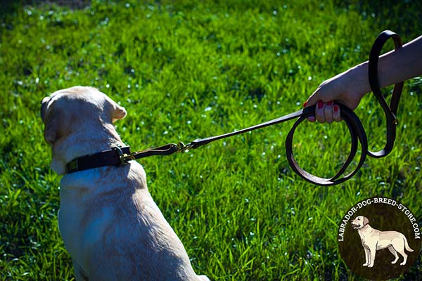 Labrador leather leash of genuine materials with handle for improved control