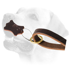 Floating Ring On Leather Dog Leash For Labrador 