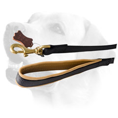 Brass Snap Hook On Nylon Dog Leash For Labrador 