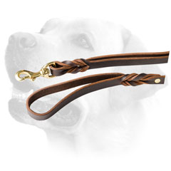 Brass Snap Hook On Reliable Leather Dog Leash For Labrador 