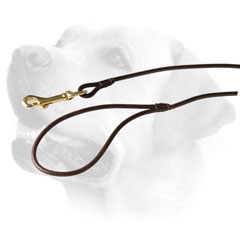 Brass Snap Hook On Leather Dog Leash For Labrador 