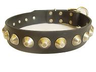 Gorgeous Wide Leather Dog Collar With Brass Pyramids