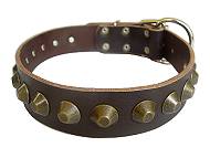 Gorgeous Wide Leather Dog Collar