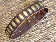 Gorgeous wide leather dog collar with plates