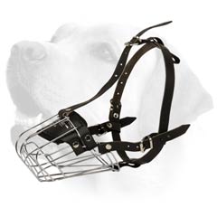 Muzzle With Wire Rust Resistant Frame