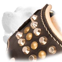 Exquisite Leather Studded Muzzle