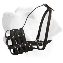 Labrador Leather Buckled Muzzle with Perfect Air  Ventilation