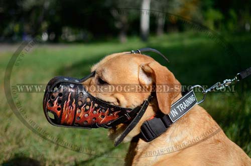 Buckled Leather Decorative Muzzle For Labrador