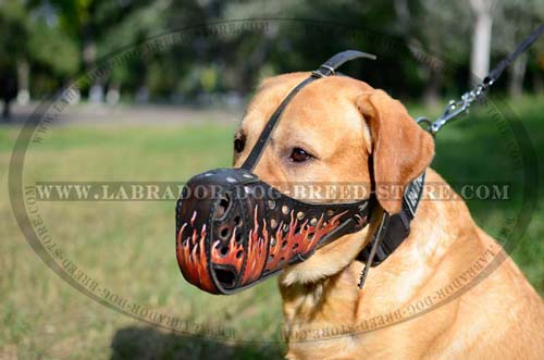 Walking Decorative Leather Muzzle.