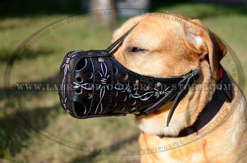 Labrador Leather Painted Muzzle.
