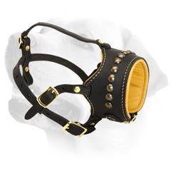 Labrador Comfy Decorative Leather Muzzle