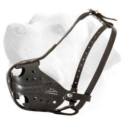 Lightweight Dog Muzzle For Labrador