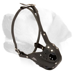 Labrador Leather Dog Muzzle