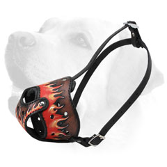 Obedience Training Leather Labrador Muzzle With Unique Design