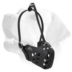 Agitation Training Leather Labrador Muzzle With Padding