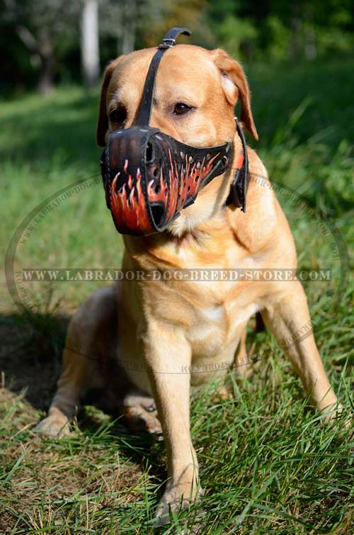 Decorative Leather Labrador Muzzle 