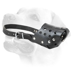 Training Leather Dog Muzzle for Labrador