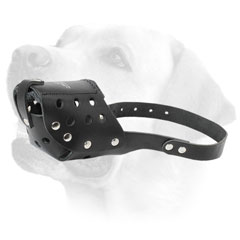 Walking Leather Dog Muzzle For Labrador