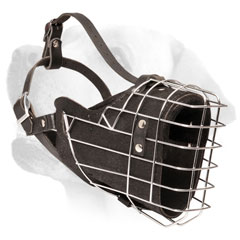 Spacy Lightweight Dog Muzzle For Labrador