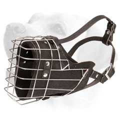 Labrador Wire Cage Dog Muzzle