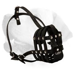 Lightweight Durable Leather Muzzle