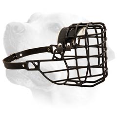 One Strap Wire Cage Muzzle for Labrador