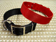 Nylon Dog Collar- 2 Ply Nylon :Nickel Plated : Extra Wide