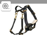 Biothane harnesses